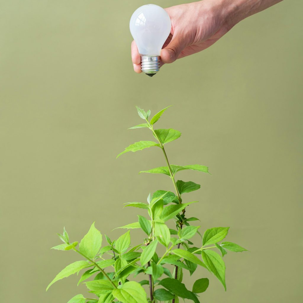 Genius Act Vote: Sparking Innovation and Growth