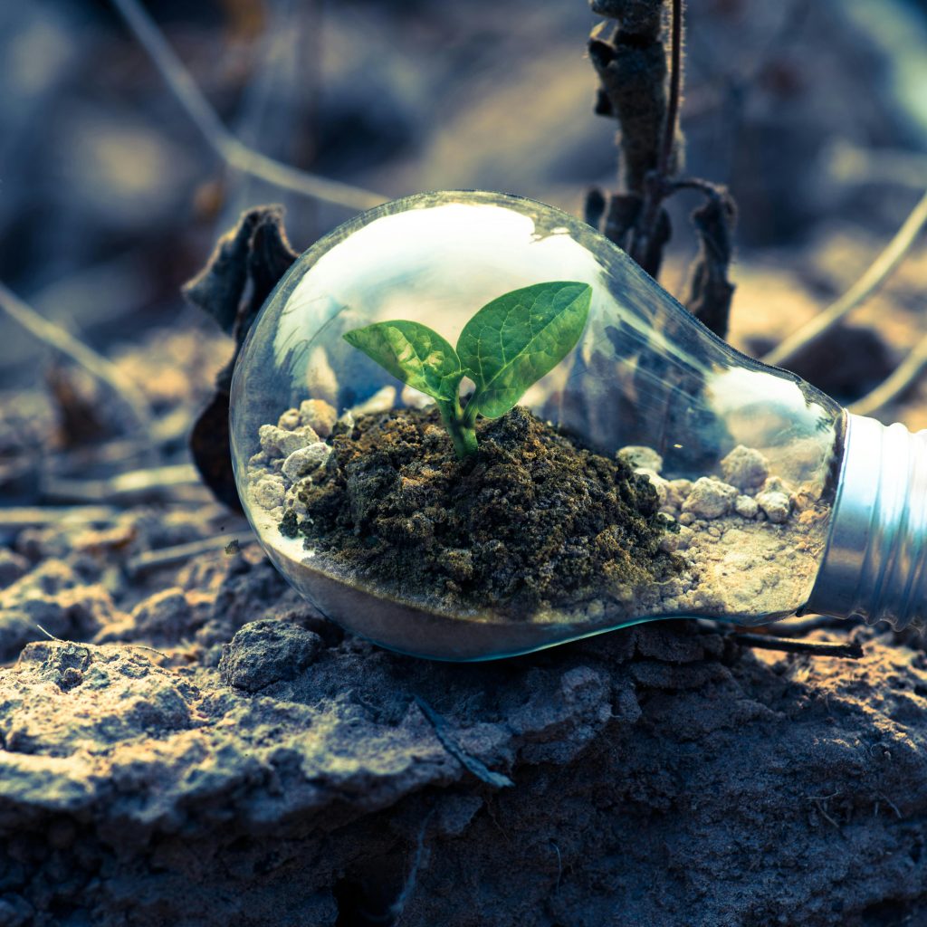 Genius Act Vote: Sparking Innovation and Growth